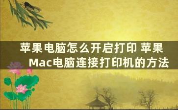 苹果电脑怎么开启打印 苹果Mac电脑连接打印机的方法